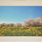 遠山 洋 (湘南) 「春の景色」