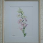 橋本恵美子 (東京23 )水彩「花(ストック)」