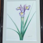 橋本恵美子(東京23)「花(ハナショウブ)」