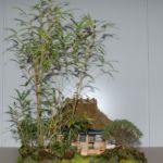 中村 卓司(さきたま)「竹隠の露地」