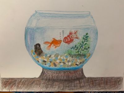 関根勝二(さきたま)初めての色鉛筆画『金魚』