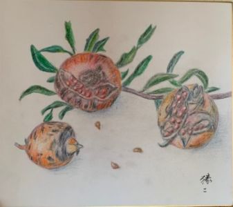 関根勝二(さきたま)
初めての色鉛筆画『柘榴』