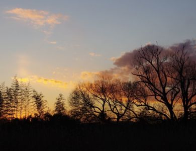 田辺弘(さきたま)
寒暮
