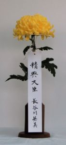 長谷川英美
菊の会