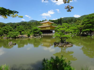 金政初美(京葉)
「逆さ金閣寺」