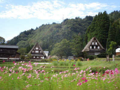 杉田成次(東京23)
五箇山相倉集落