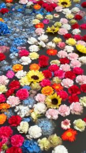 和田重幸(さきたま)
彩り・いろどり
(花手水・はなちょうず)